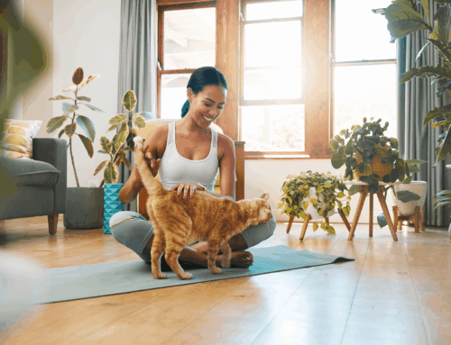 How Busy Professionals in Denver Benefit from Recurring Cleaning Services