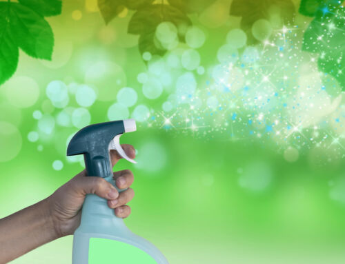 The Benefits of Eco-Friendly House Cleaning in Denver
