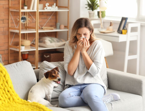 How Regular Cleaning Can Improve Indoor Air Quality in Littleton Homes