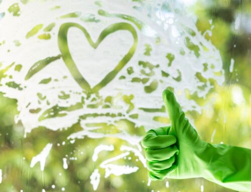 Top 5 Benefits of Organic House Cleaning in Arvada, CO
