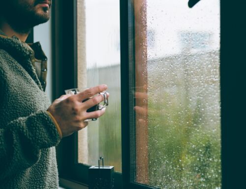 Post-Rain Cleaning Tips for Denver Homes During Storm Season