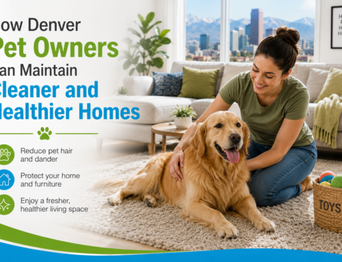 How Denver Pet Owners Can Maintain Cleaner and Healthier Homes